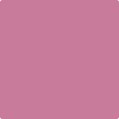 1355: Tropical Rose  by Benjamin Moore