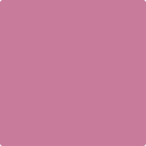 1355: Tropical Rose  by Benjamin Moore