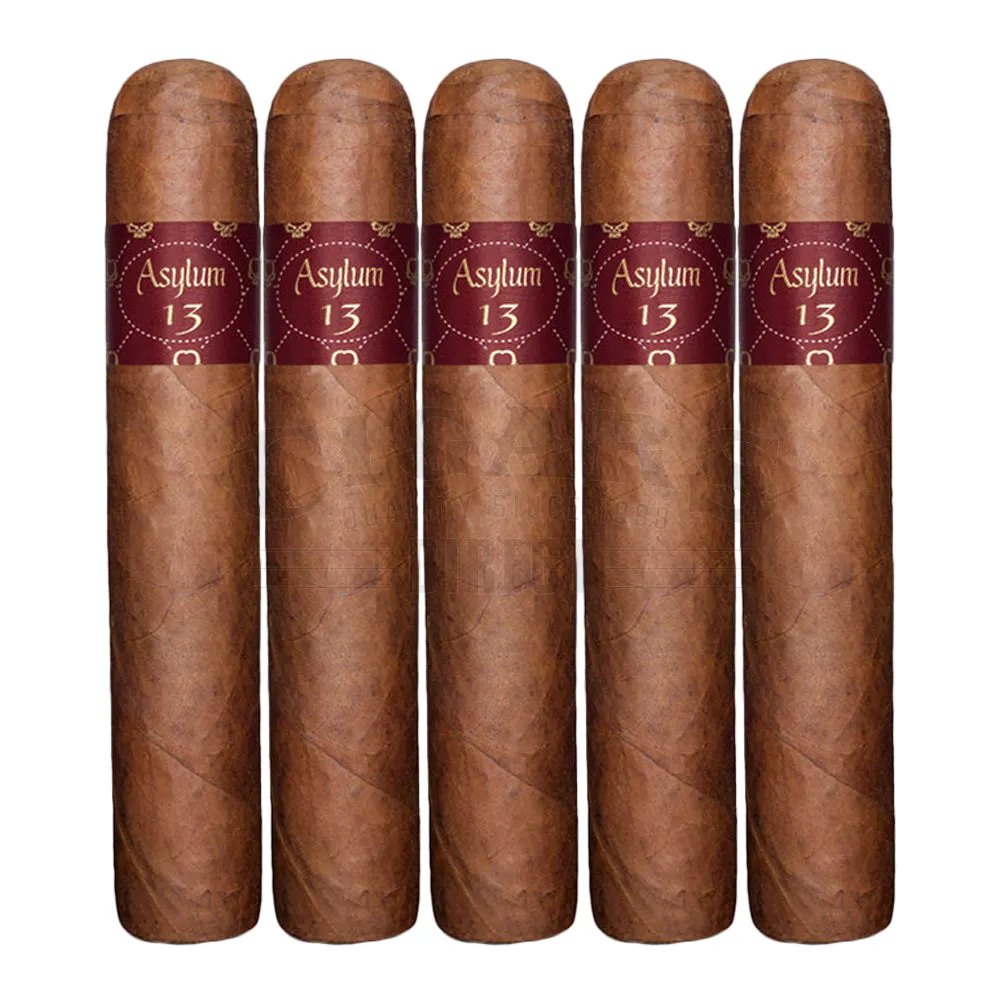 Asylum 13 Authentic Corojo Toro Super Gordo