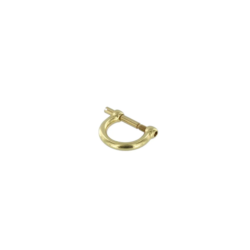 Brass D-Ring