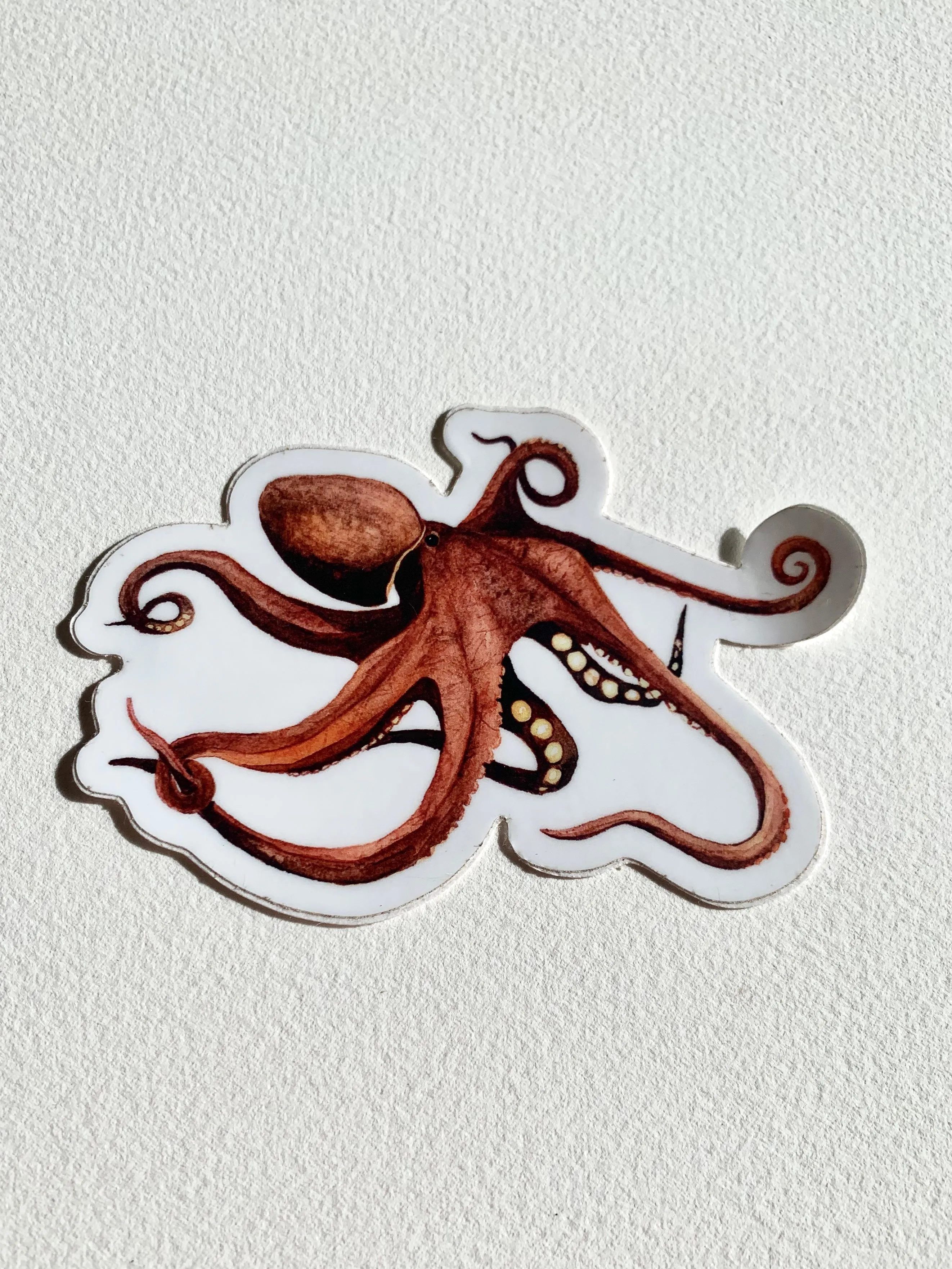 Octopus Sticker