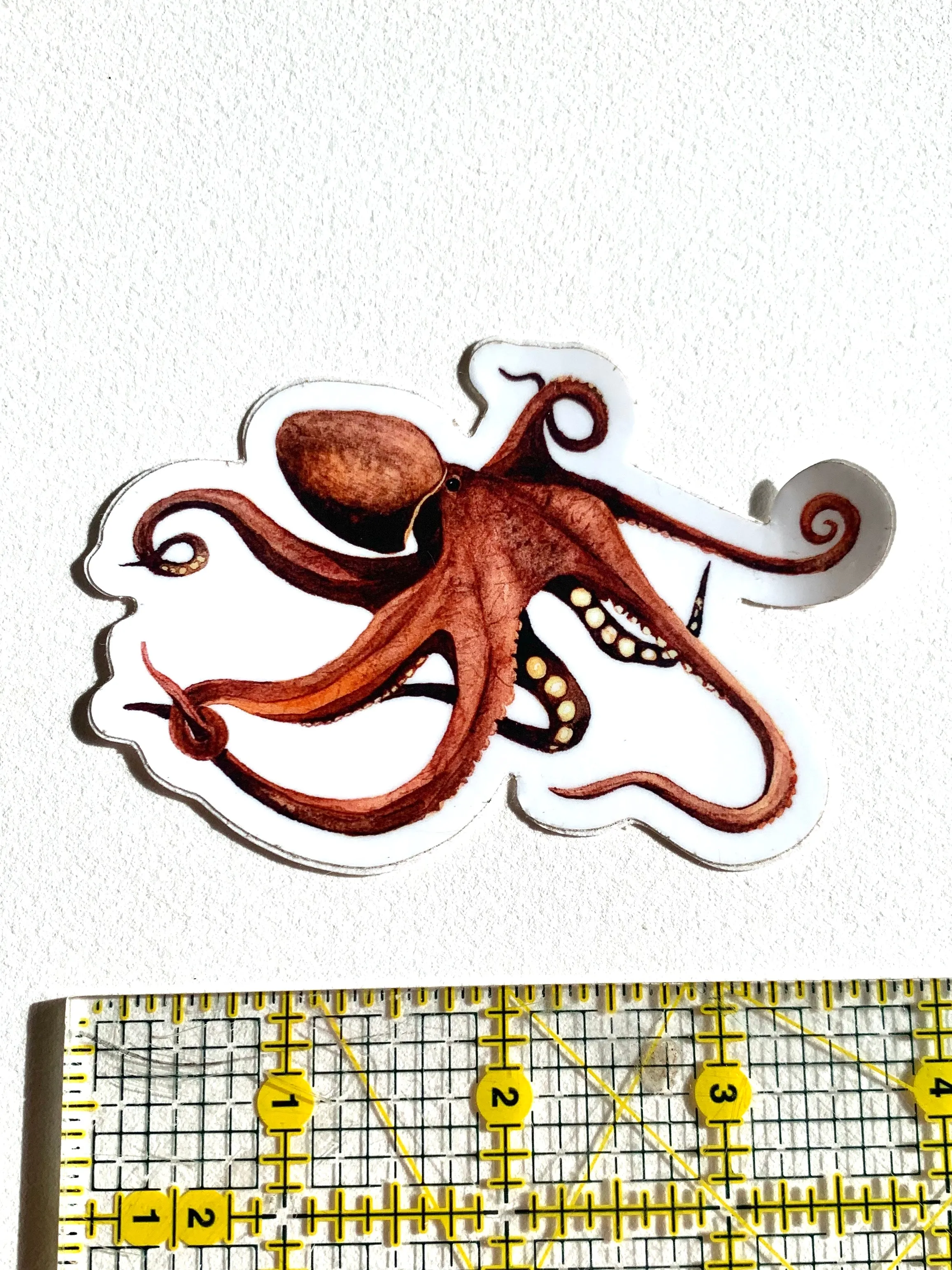 Octopus Sticker