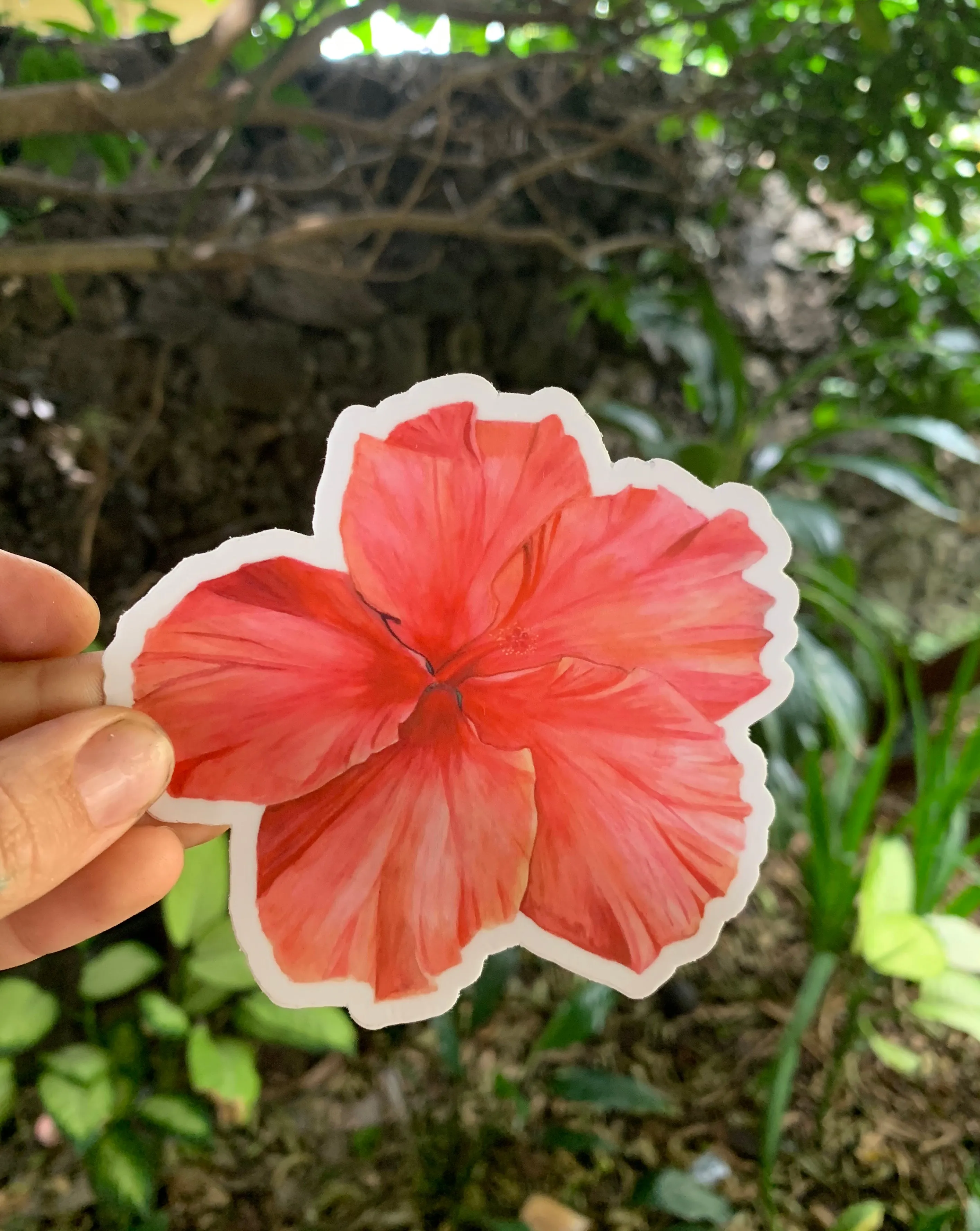 Pink Hibiscus Sticker