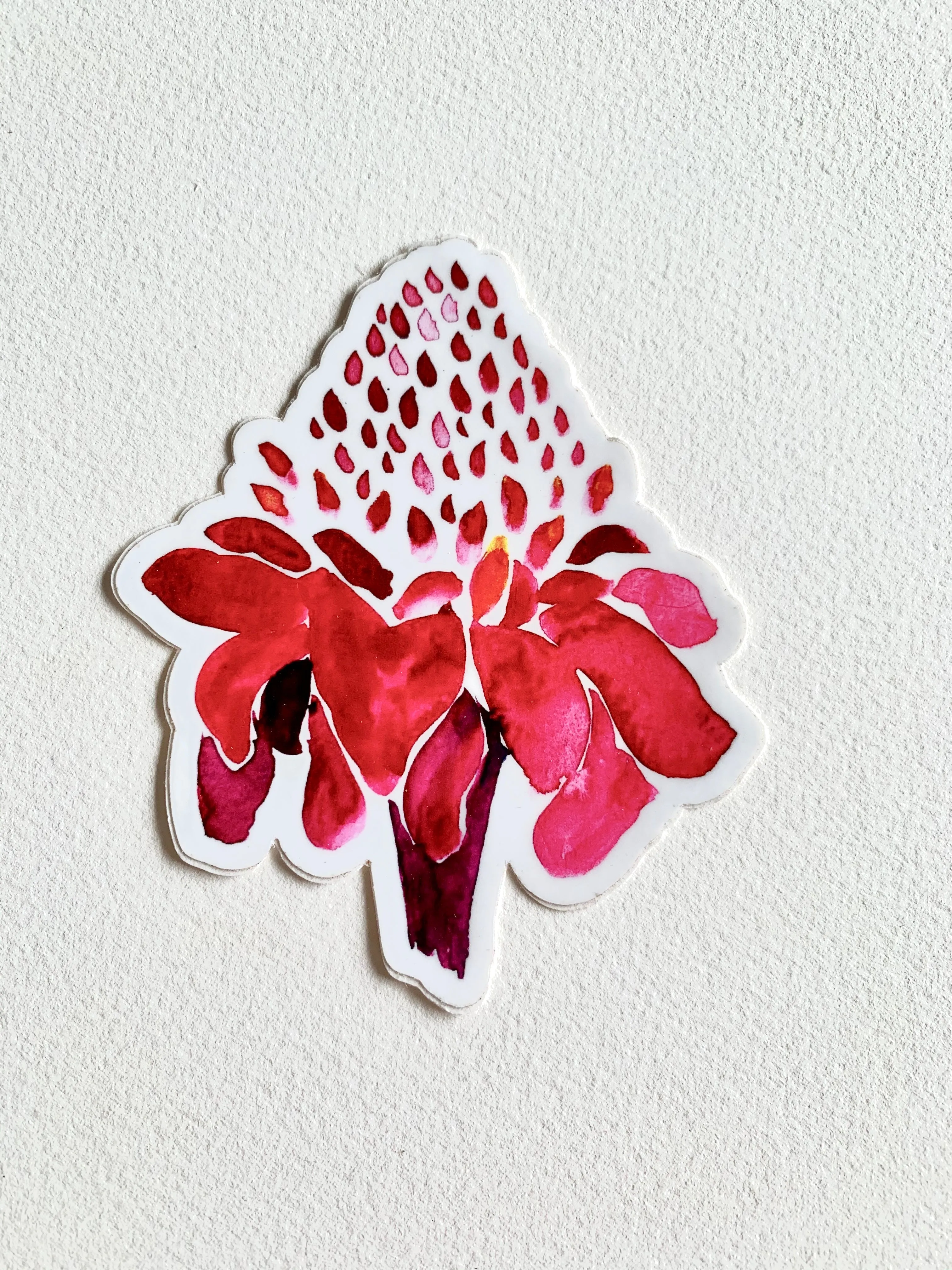 Torch Ginger Sticker