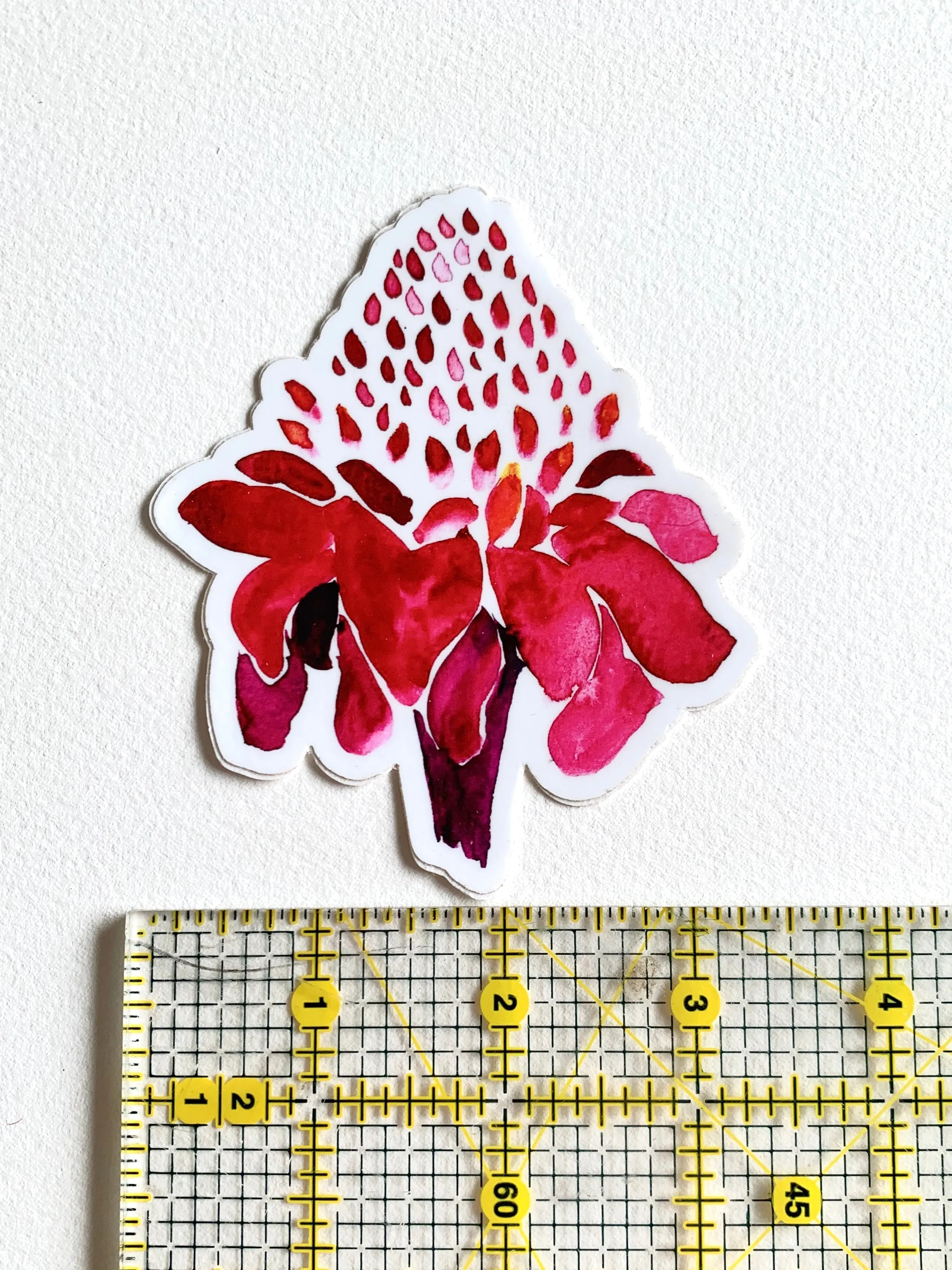 Torch Ginger Sticker