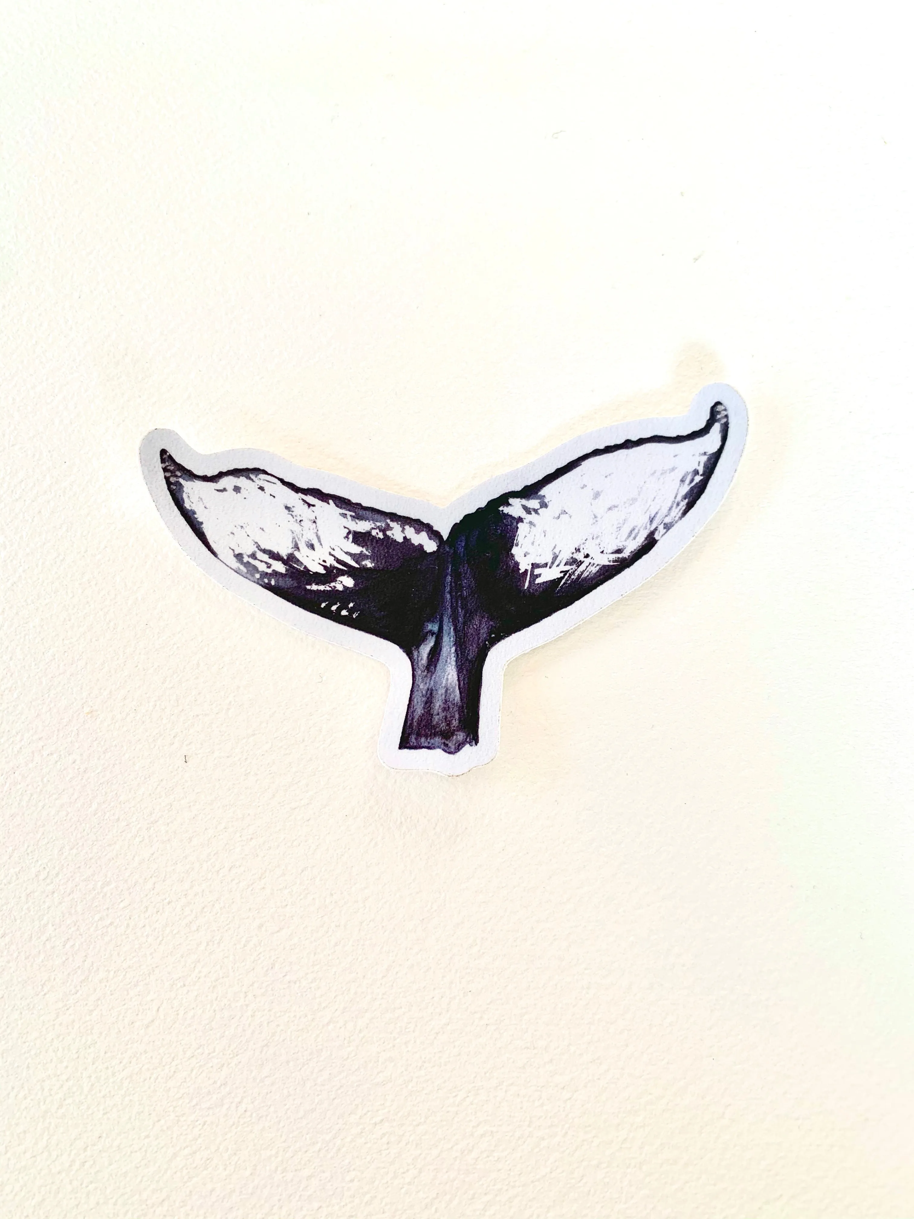 Whale Tail Sticker