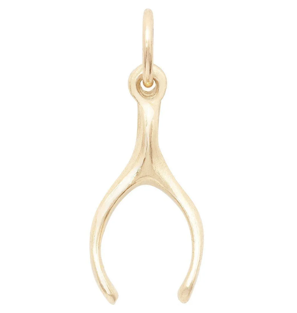 Wishbone Mini Charm